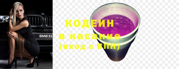 ECSTASY Бородино